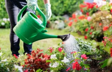 How to Use Homeopathy for Your Plants