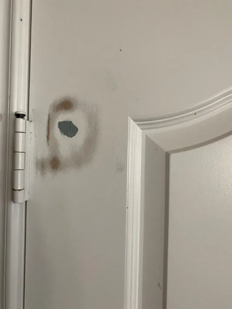 Painting Services - door painting - Before