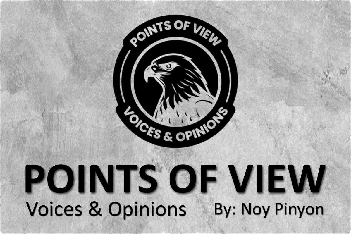 opinion
