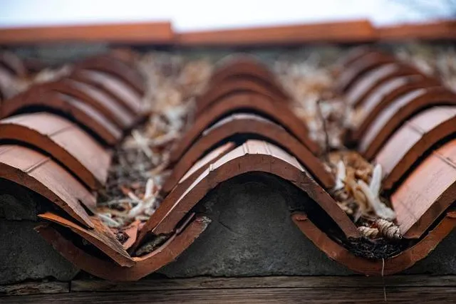 10 Common Roofing Problems and How to Fix Them