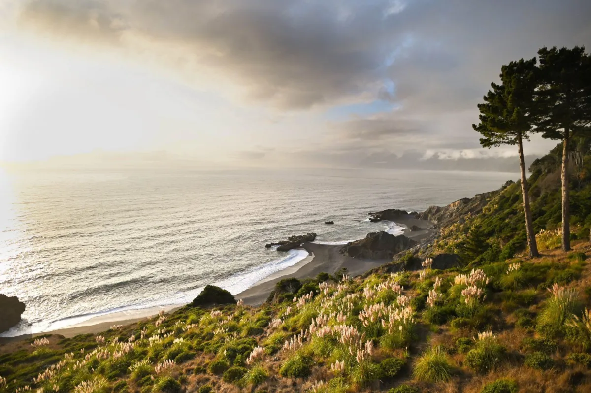  🌊 No Roads, No Rules: The Wild Magic of the Lost Coast