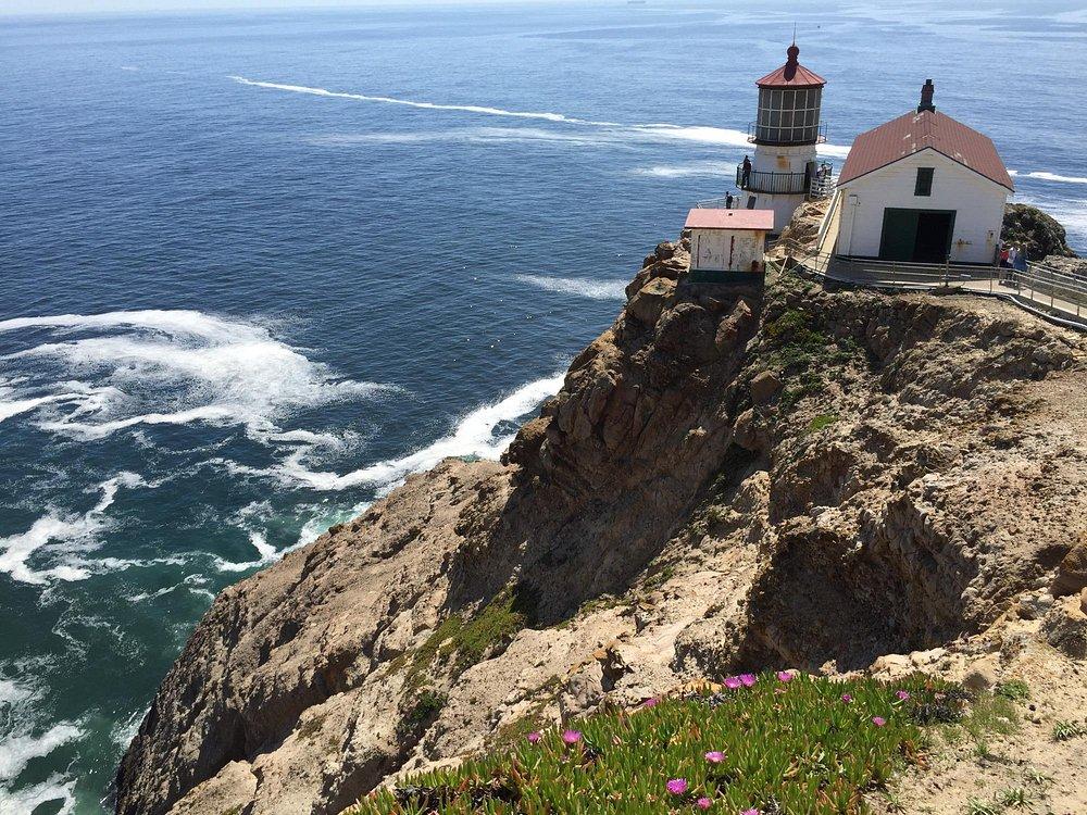 🌊 Waves, Wildlife & Oysters on Ice – Point Reyes Is a Whole Vibe!
