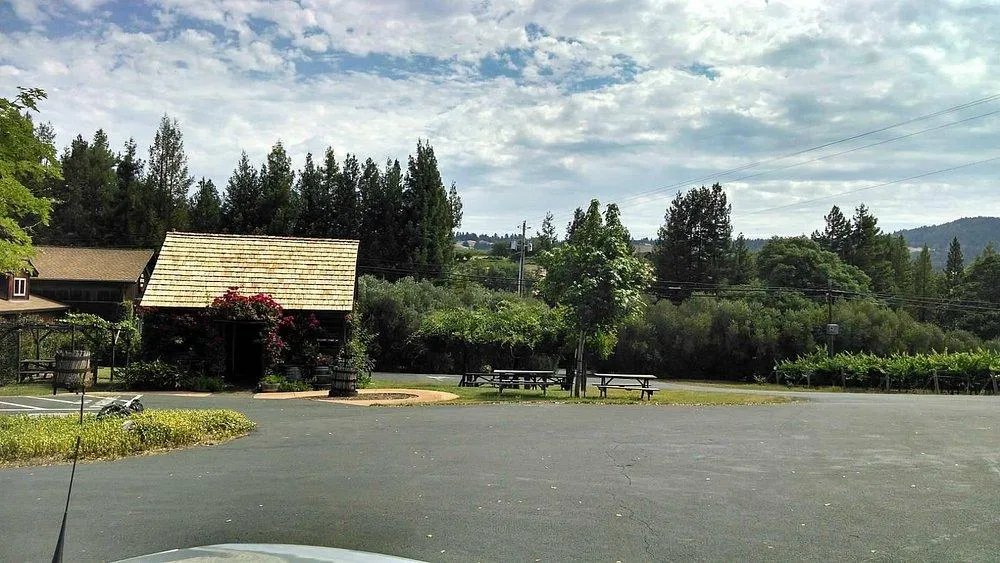 🍷 Farm Feels & Wine Deals: Why Boonville’s Wine Scene Is Crushing It