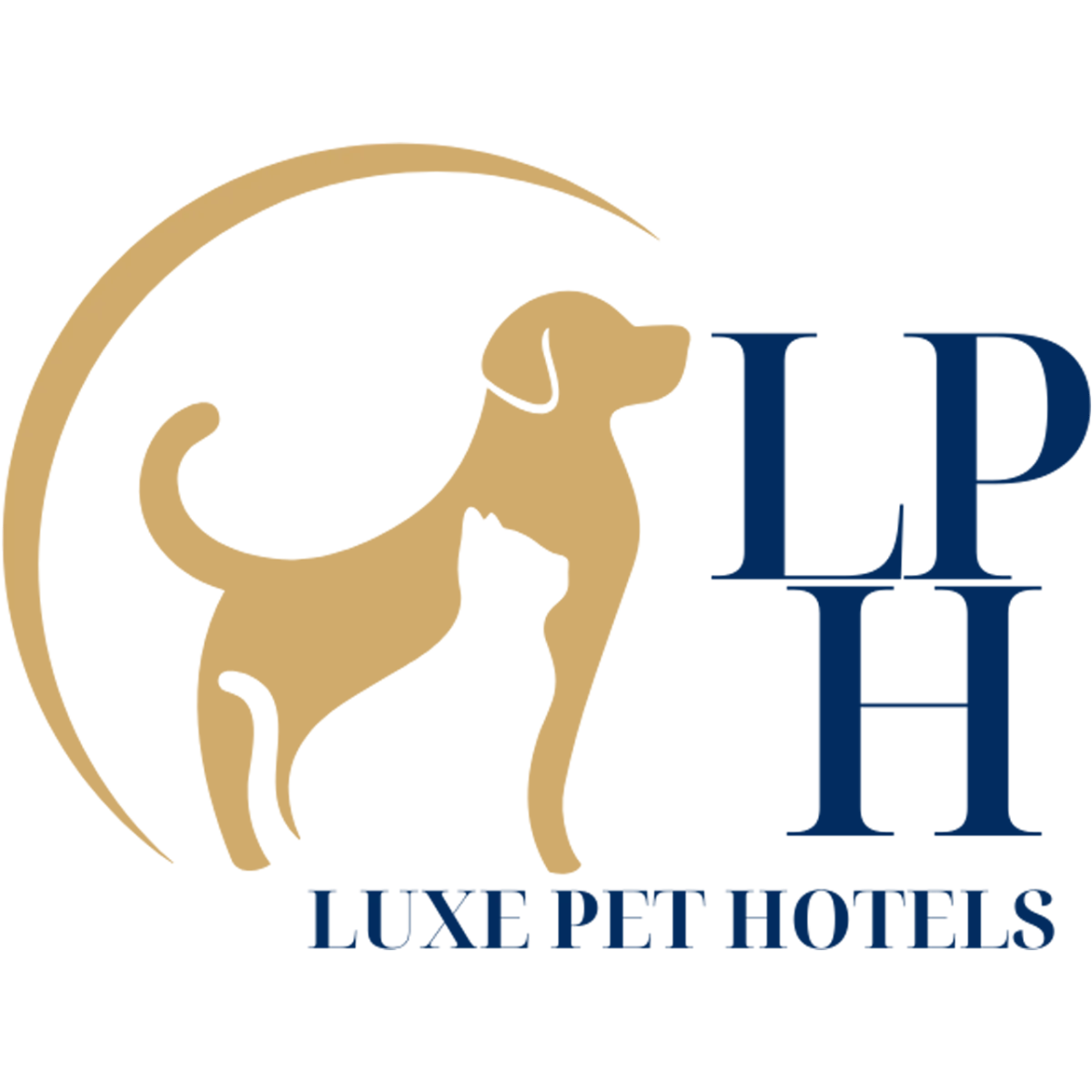 Las Vegas Small Business Dog Day Care