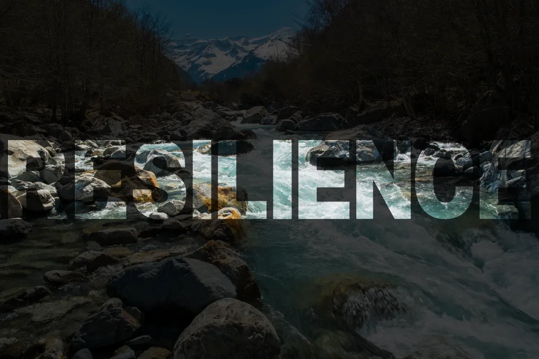 Resilience