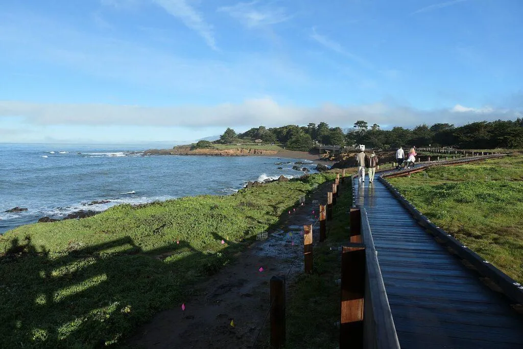 Unleash Your Inner Adventurer at Moonstone Park