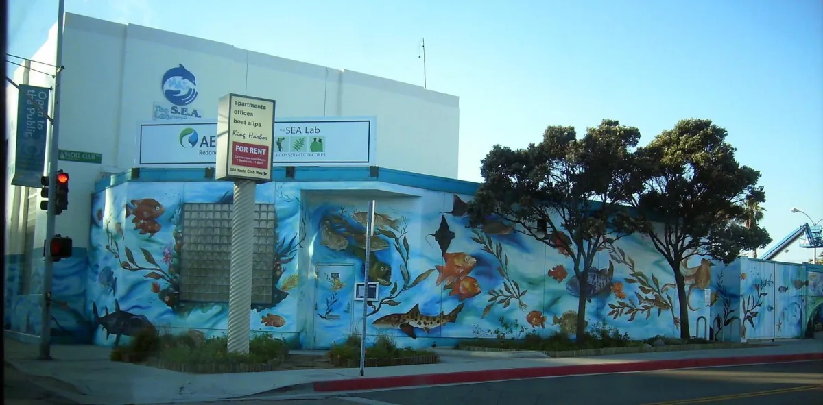 Dive into Discovery at SEA Lab