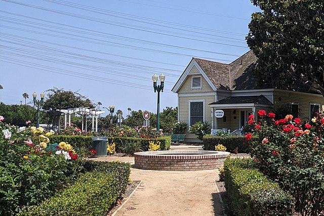 Discover Dominguez Park: Redondo Beach’s Go-To Spot for Fun and Relaxation