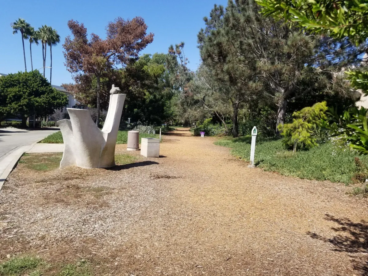 Strolling Through The Greenbelt: Redondo Beach’s Hidden Oasis