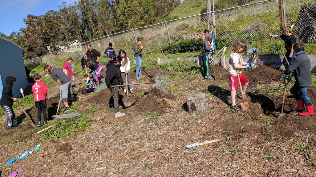 🌿 Growing Green Futures: Discover Pacific Elementary School Garden & Eco Programs in Redondo Beach! 