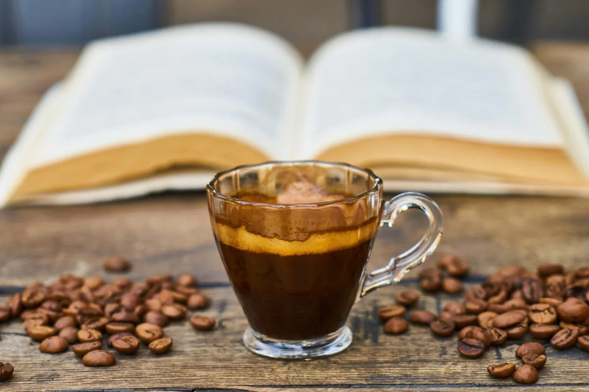 Zamia Café: Redondo Beach’s Chill Corner for Coffee, Vibes & Ocean Breezes