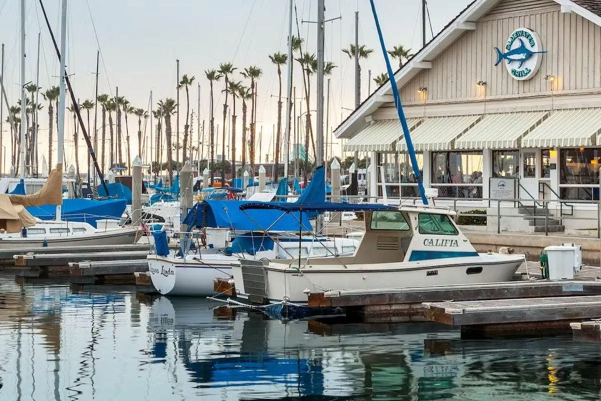 Seafood, Sunshine & Stunning Views — Dive Into Bluewater Grill at King Harbor