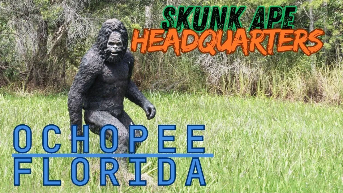 Inside the Skunk Ape Headquarters in Ochopee