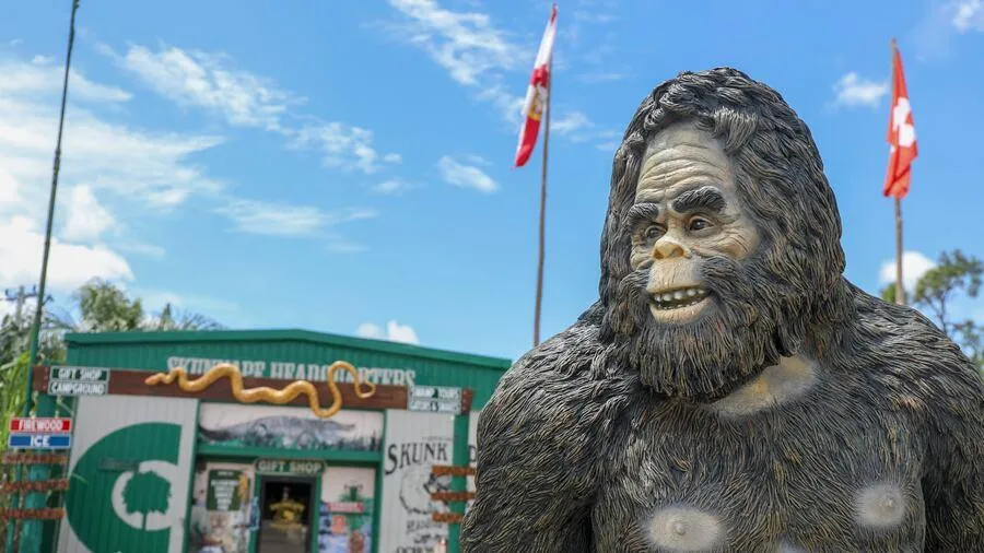 Skunk Ape Headquarters Fuels Commerce in Ochopee Amid Tower Debate