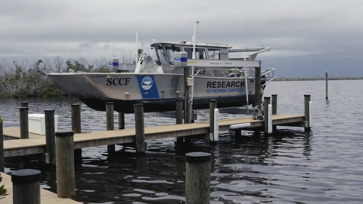 Scientist Warns of Estuary Damage from Lake Okeechobee Discharges