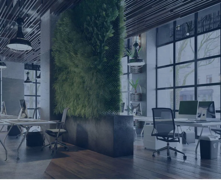 Cultivating Corporate Vitality: The Verde Vitae Approach to Holistic Wellness
