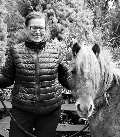 How We Work With Horses