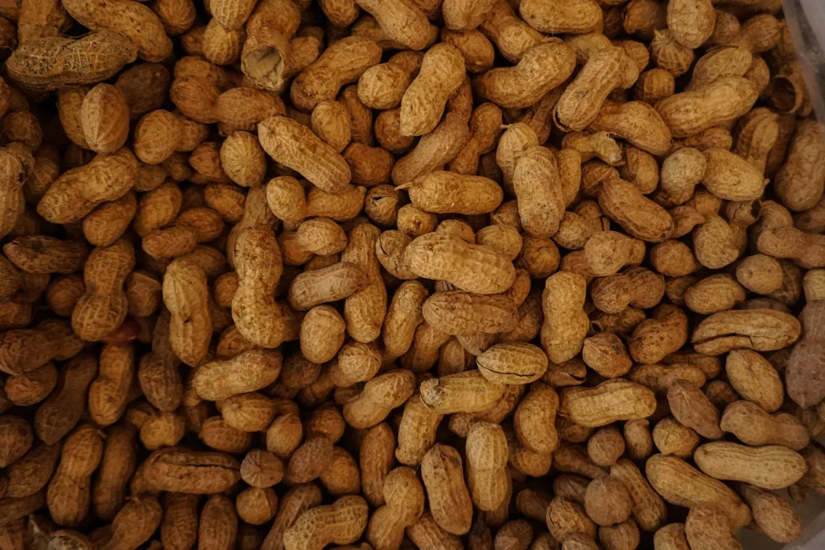 Allergy Awareness