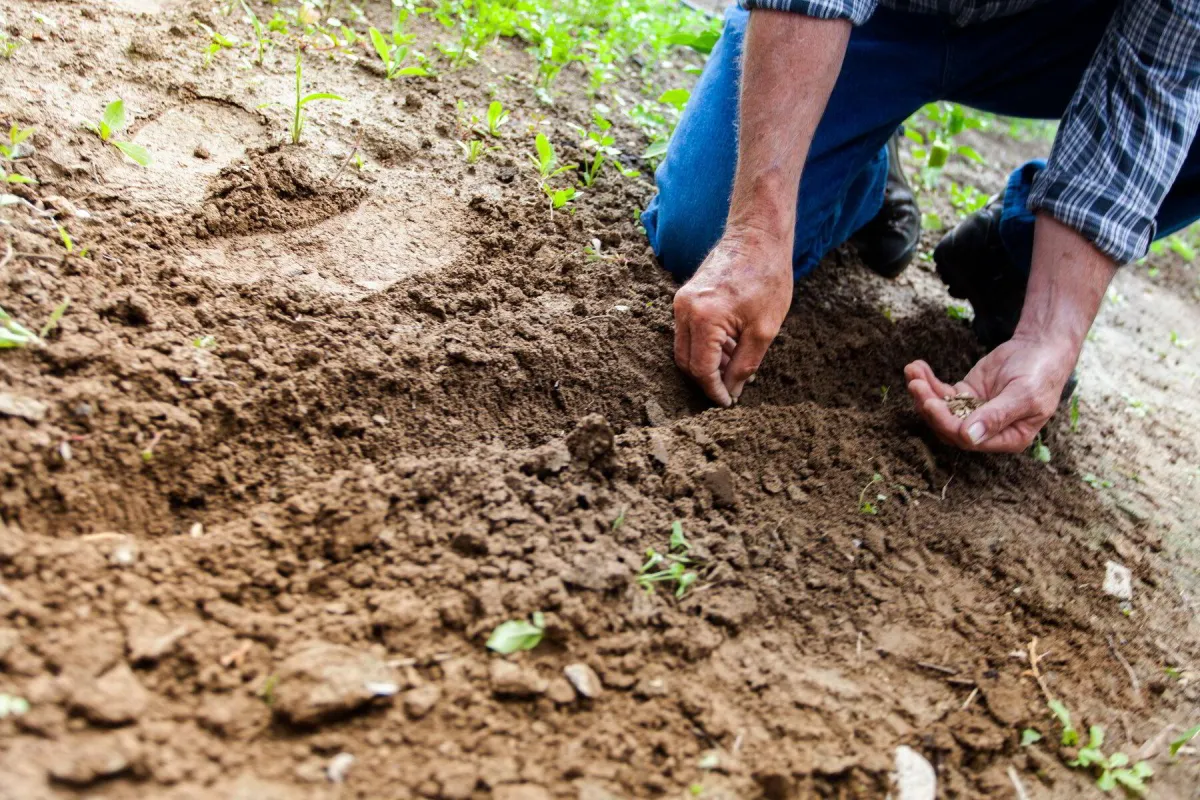 Bien s'assurer en tant qu'agriculteur