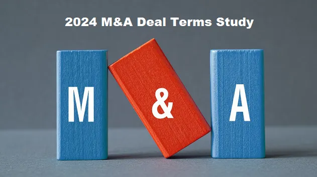 2024 Deal Term Survey