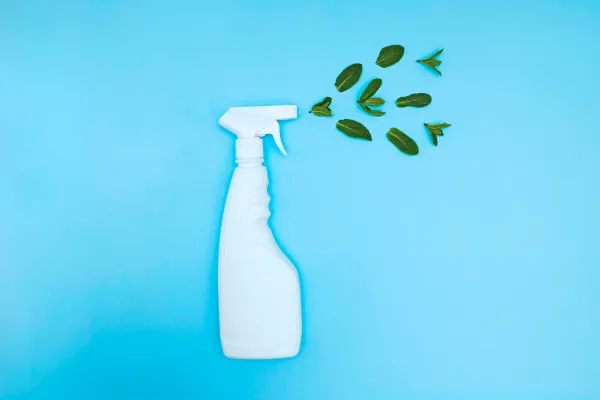 Clean Spray Bottle
