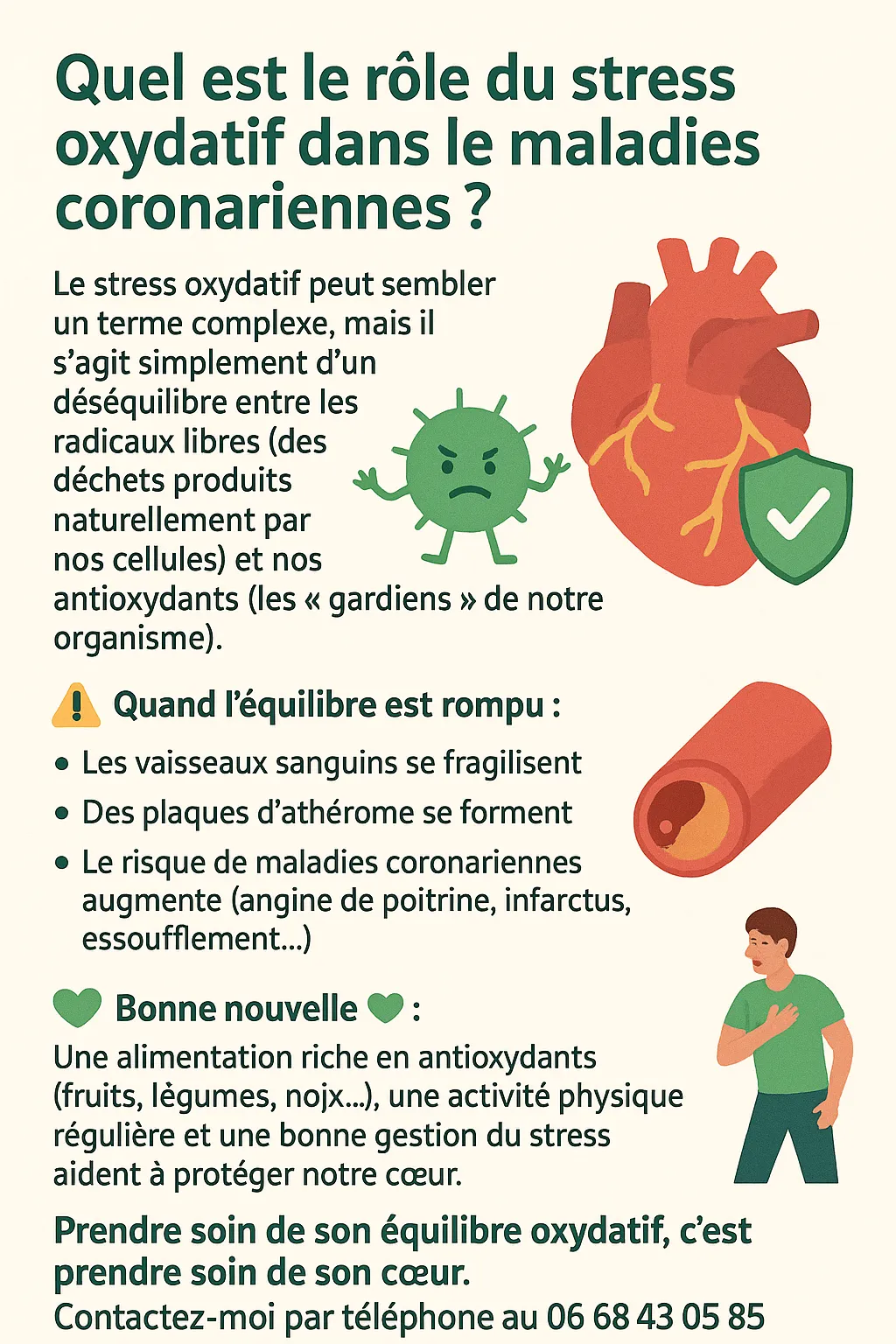 Quel est le rôle du stress oxydatif dans les maladies coronariennes ?