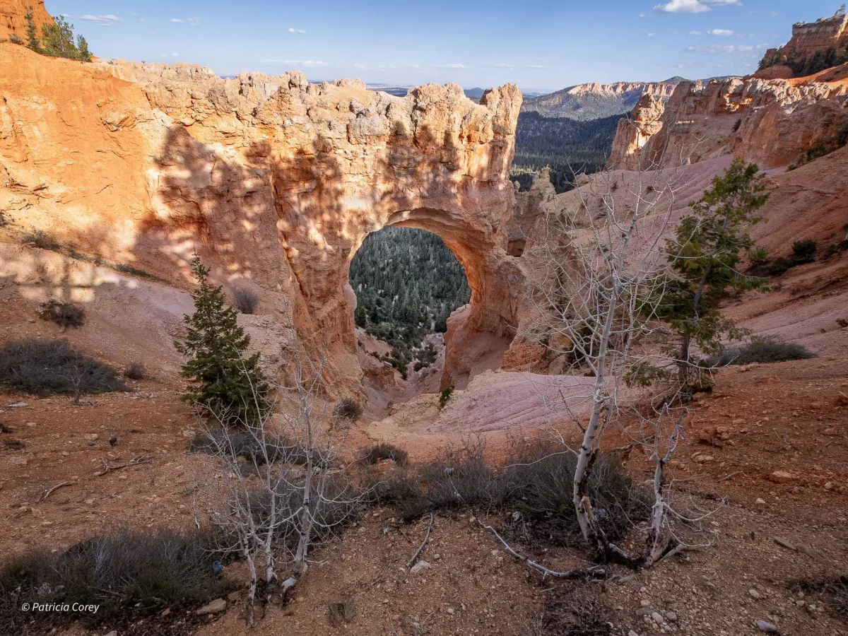 Natural Bridge, Bryce Natl Park