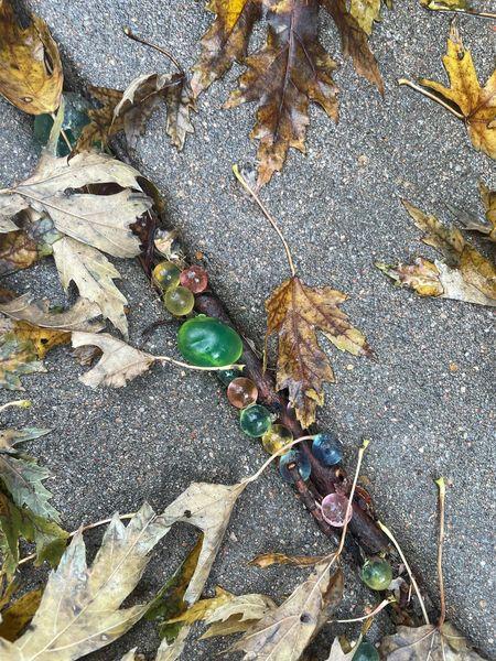 Grief Is Like a Gel Water Bead: How Kids’ Feelings Resurface