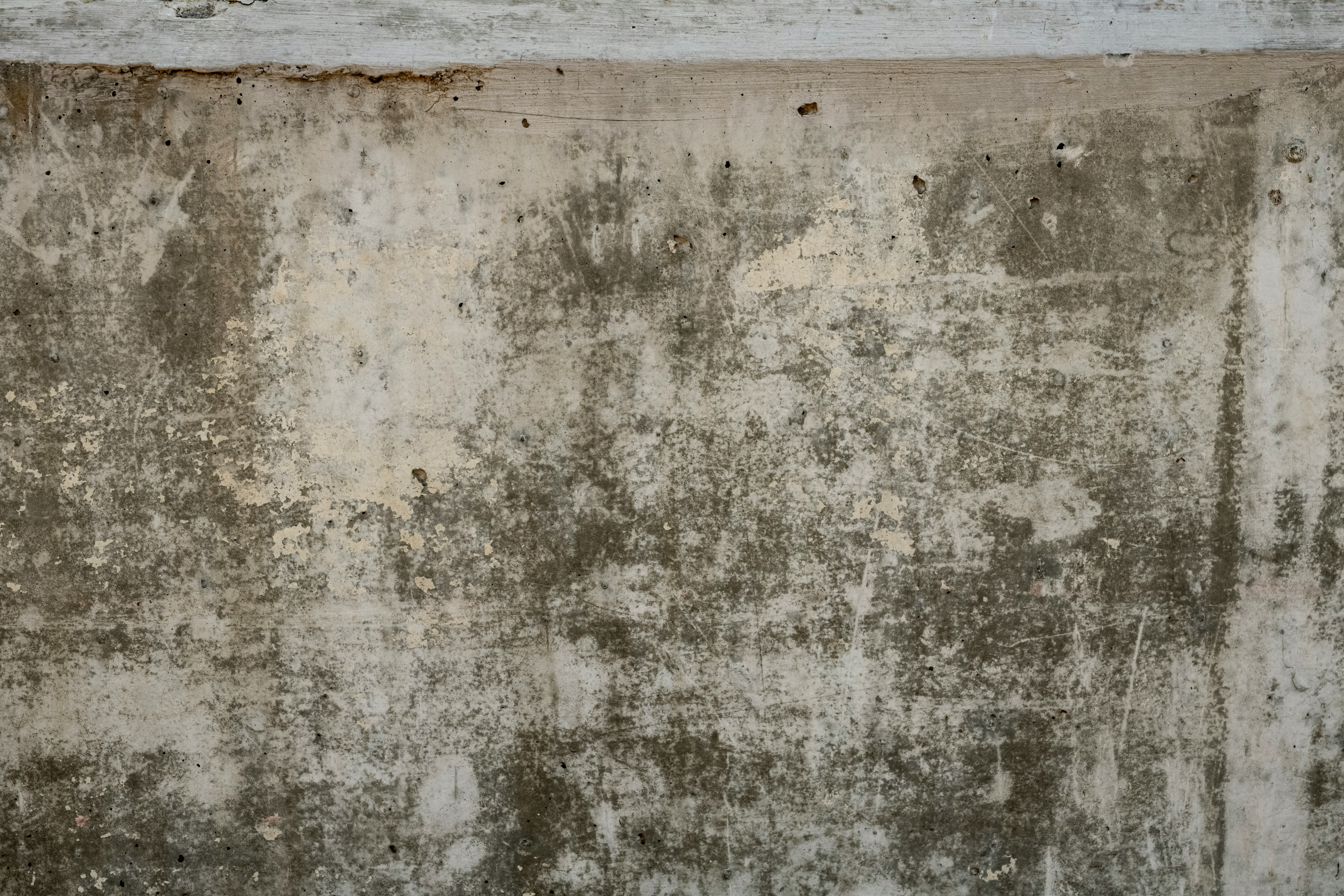 Black Mould Exposure: Common Health Impacts and When to Seek Medical Evidence