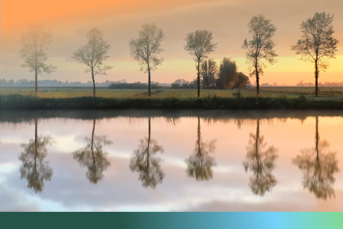 De kracht van de natuur in wandelcoaching