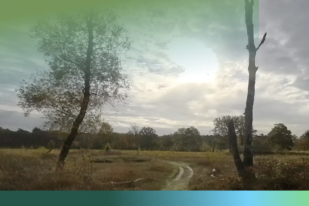 Een korte wandeling kan je stress halveren