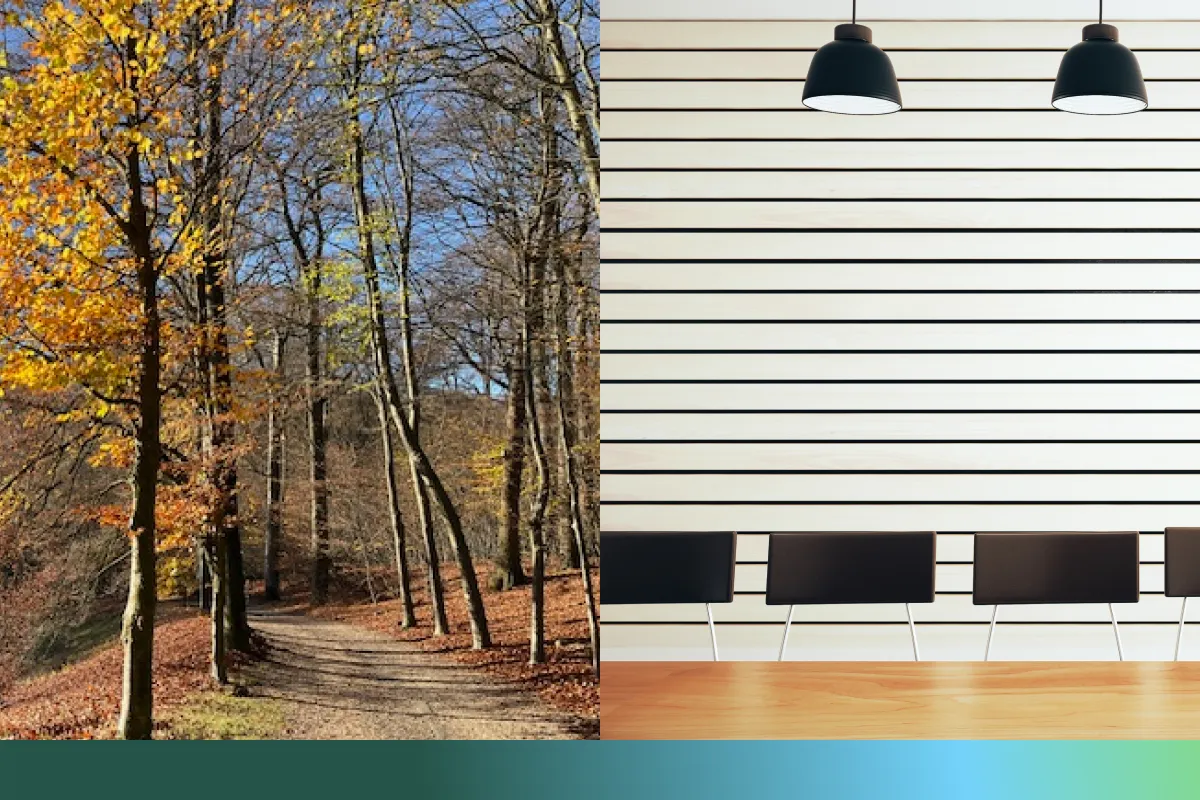 Waarom coaching in de natuur zo effectief is