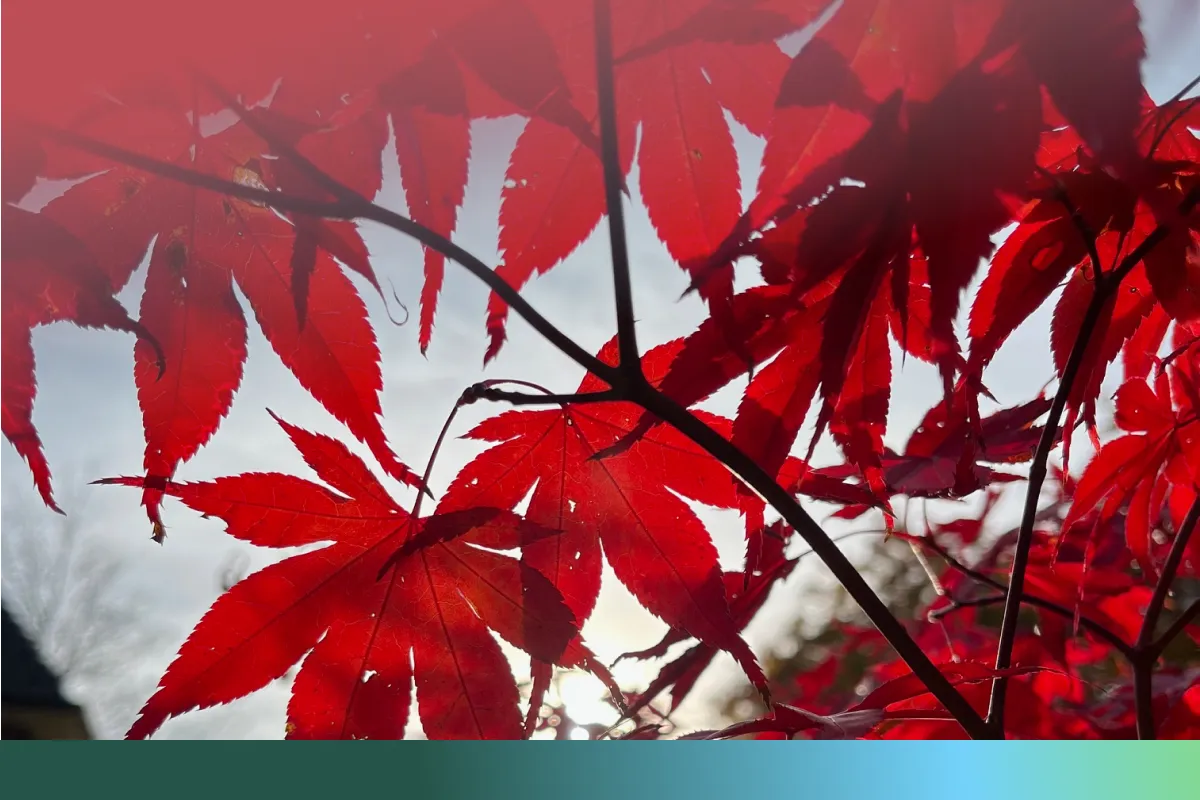 Onafhankelijke coach voor duurzame inzetbaarheid