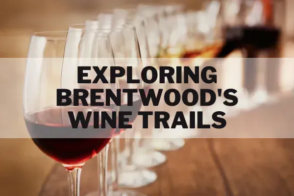 Exploring Brentwood's Wine Trails