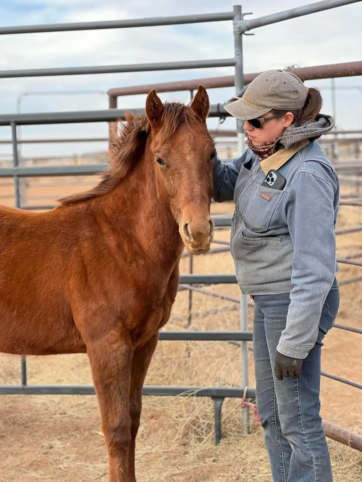 Amy Skinner Horsemanship