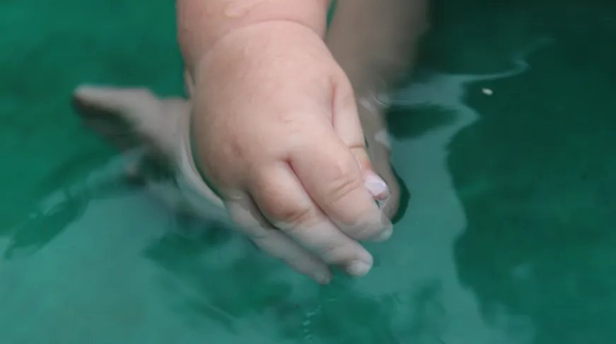 When Should I Be Concerned About My Baby’s Developmental Milestones?