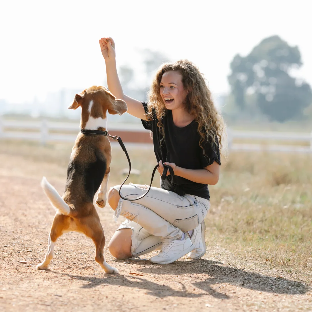 girl playing with beagle