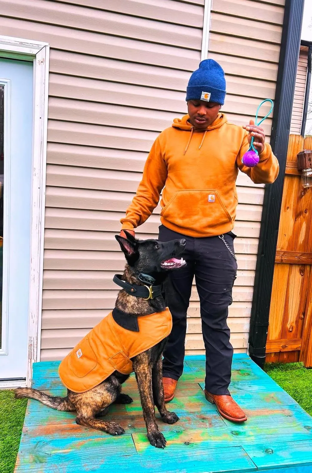 Dog and trainer working together