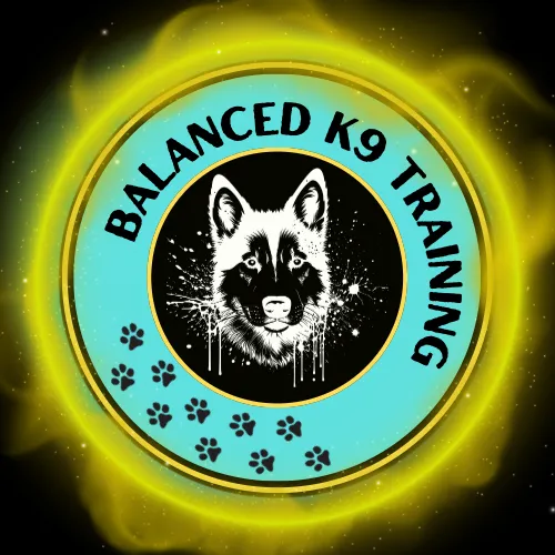 The Balanced Approach to Dog Training: What It Is and Why It Matters