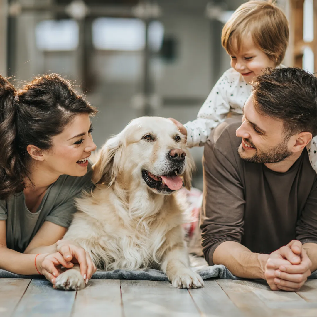 Big Life Changes and Your Dog: How to Help Them Adjust