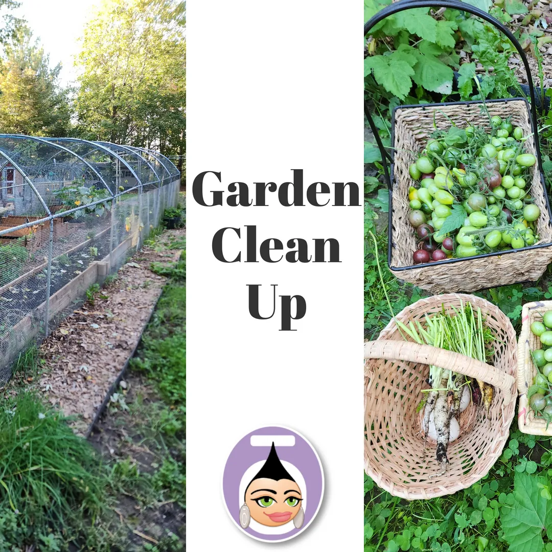 Garden Clean Up