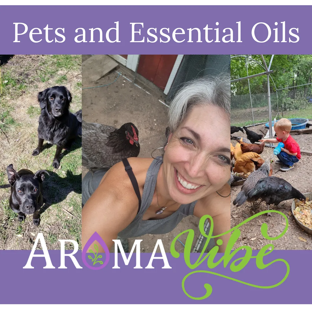 Essential Oils for Pets 101: Safe, Simple, Species‑Specific