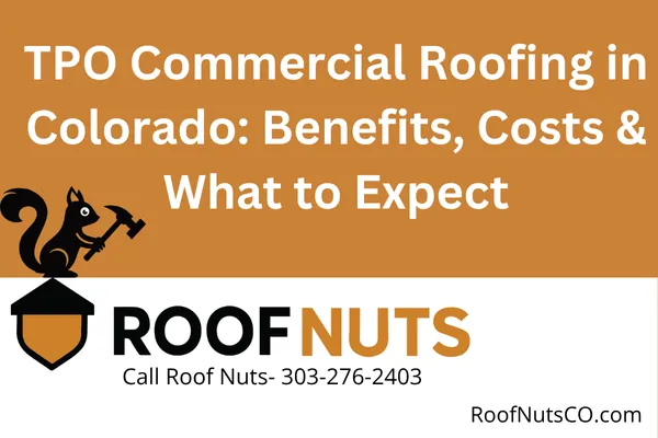 Discover why TPO roofing is a top choice for commercial properties in Colorado. Learn about its energy savings, weather resistance, and installation options from Roof Nuts CO.
