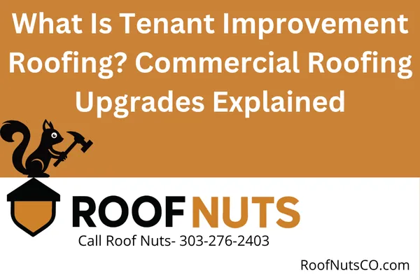 What Is Tenant Improvement Roofing? Commercial Roofing Upgrades Explained