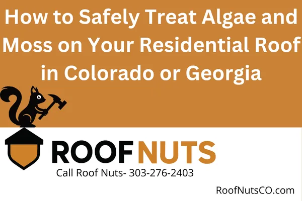 How to Safely Treat Algae and Moss on Your Residential Roof in Colorado or Georgia