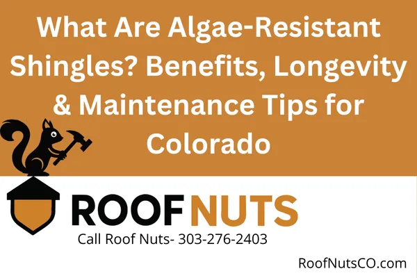 Discover how algae-resistant shingles can protect your Colorado home from roof stains, moisture damage, and premature aging. Learn how they work, what to expect, and if they're right for your property.