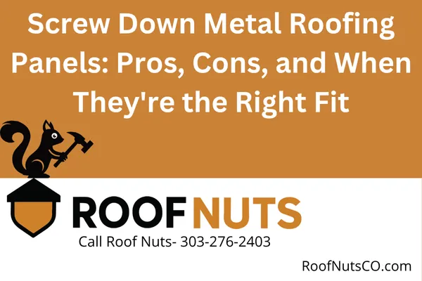 Screw Down Metal Roofing Panels: Pros, Cons, and When They're the Right Fit