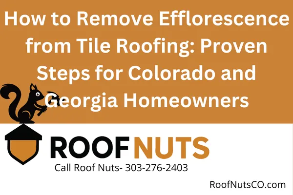 Efflorescence making your tile roof look chalky or stained? Learn how to safely remove it, prevent it from coming back, and protect your roof’s appearance in Colorado and Georgia climates.