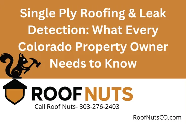 Single Ply Roofing & Leak Detection: What Every Colorado Property Owner Needs to Know