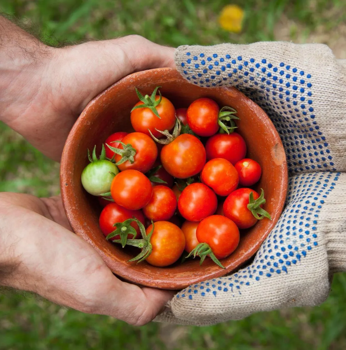 The Spirit of Generosity: What It Really Means and Why It Matters